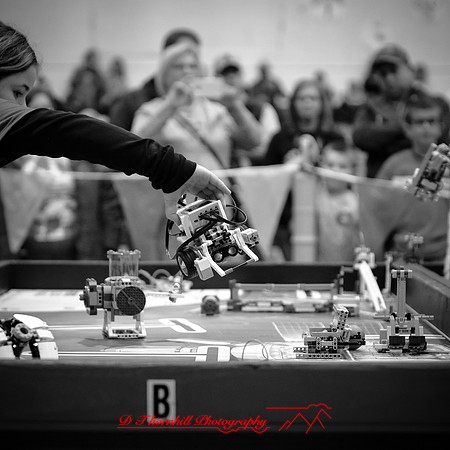 DeckerVille-Robotic-Olivia-2018-015