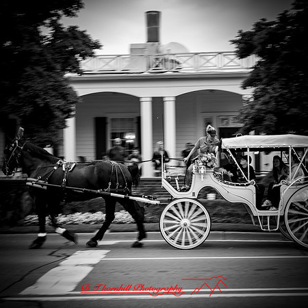 frankenmuth-2018-random-005