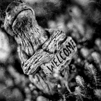 frankenmuth-2018-random-014-n-l-as