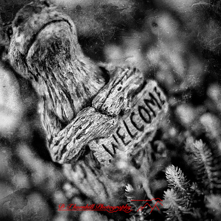 frankenmuth-2018-random-014-n-l-as