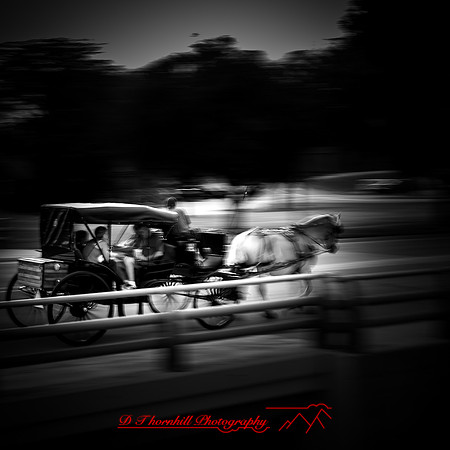 frankenmuth-2018-random-002