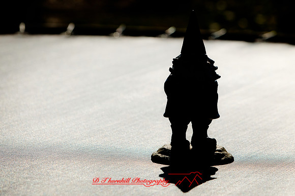galesburg_il-images-2011-12