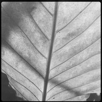 iPhone FL March 2017 020