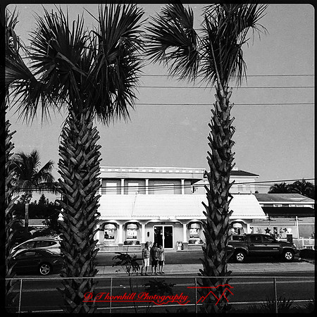 florida-nov-2015-iphone-images-033