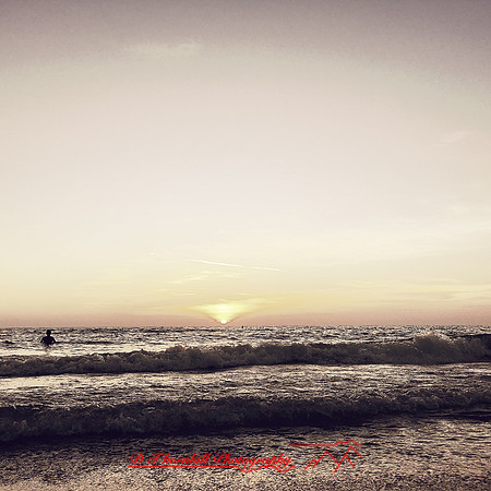 florida-nov-2015-iphone-images-028
