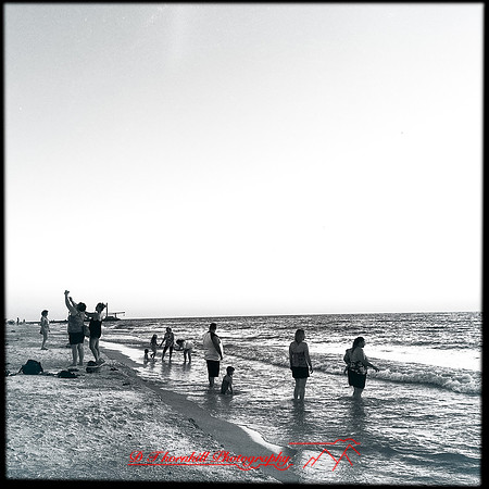 florida-nov-2015-iphone-images-026