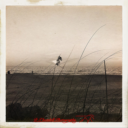 florida-nov-2015-iphone-images-020