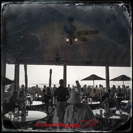 florida-nov-2015-iphone-images-029