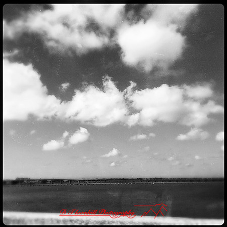 florida-nov-2015-iphone-images-013