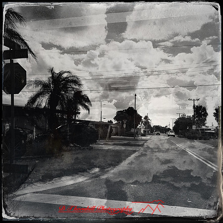 florida-nov-2015-iphone-images-074