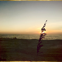 florida-nov-2015-iphone-images-021