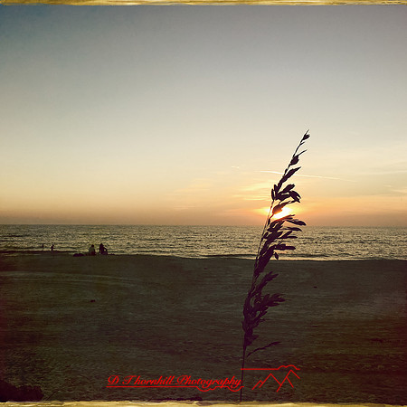 florida-nov-2015-iphone-images-021