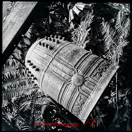 florida-nov-2015-iphone-images-079