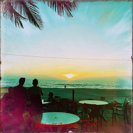 florida-nov-2015-iphone-images-022