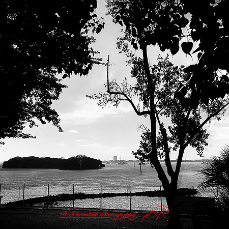 florida-nov-2015-iphone-images-081
