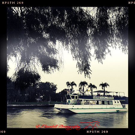 florida-nov-2015-iphone-images-083