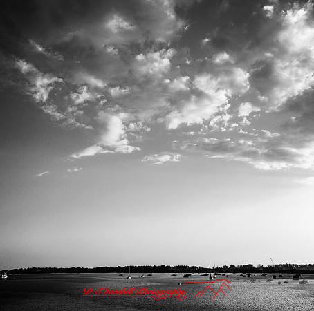 florida-nov-2015-iphone-images-073