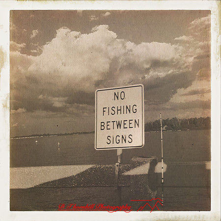 florida-nov-2015-iphone-images-072
