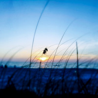 florida-nov-2015-iphone-images-019