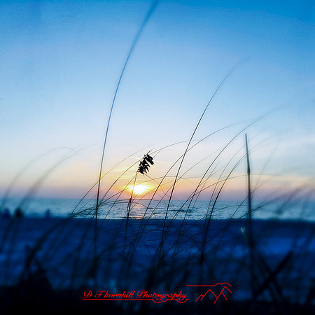 florida-nov-2015-iphone-images-019