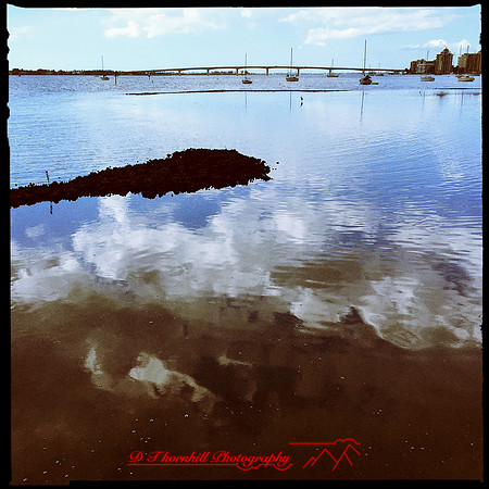 florida-nov-2015-iphone-images-080