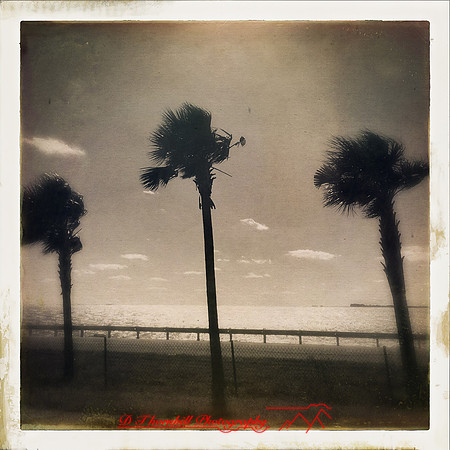 florida-nov-2014-iphone-images-020