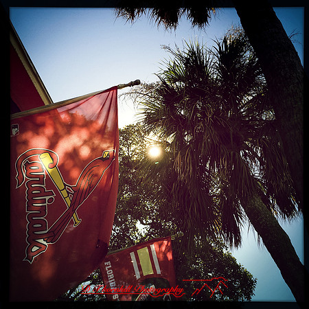 florida-nov-2014-iphone-images-049