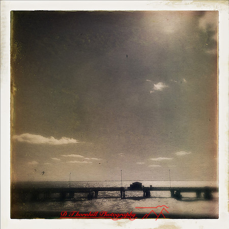 florida-nov-2014-iphone-images-023