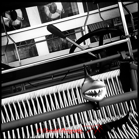 florida-nov-2014-iphone-images-061