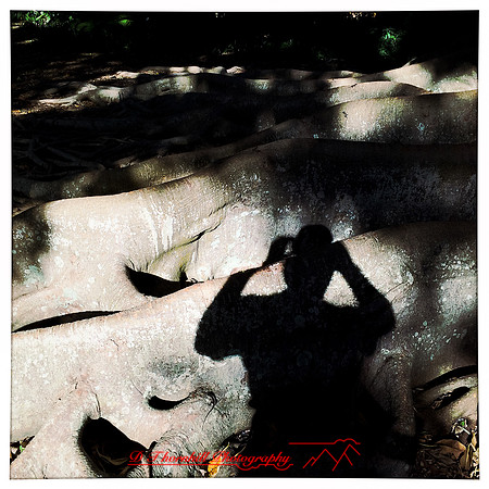 florida-nov-2014-iphone-images-054