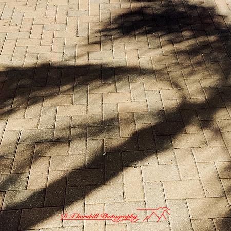 florida-nov-2014-iphone-images-052