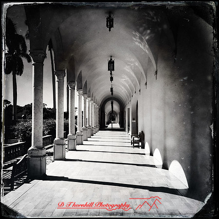 florida-nov-2014-iphone-images-037