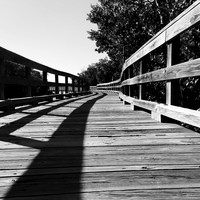 florida-nov-2014-iphone-images-026