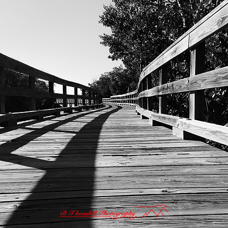florida-nov-2014-iphone-images-026