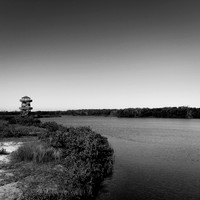 florida-nov-2014-iphone-images-027