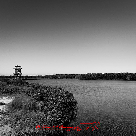 florida-nov-2014-iphone-images-027
