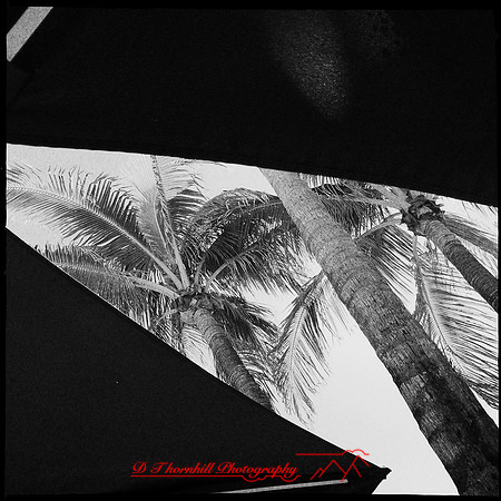 florida-nov-2014-iphone-images-050