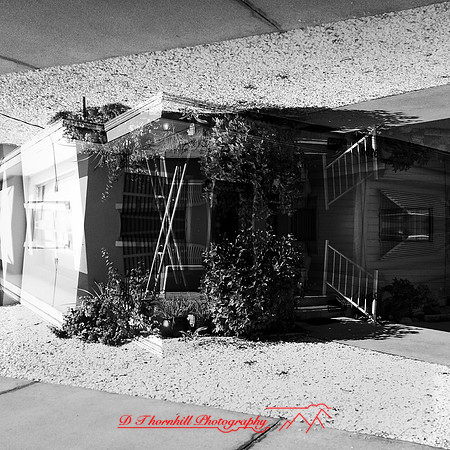 florida-nov-2014-iphone-images-045