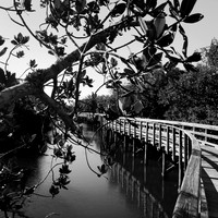 florida-nov-2014-iphone-images-025