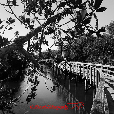 florida-nov-2014-iphone-images-025