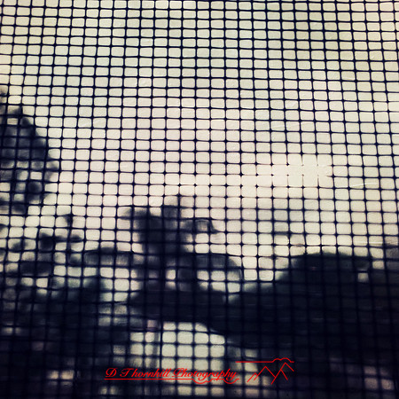 florida-2014-iphone-images-028