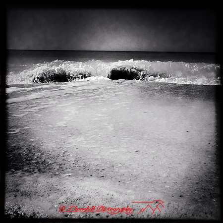 florida-2014-iphone-images-036