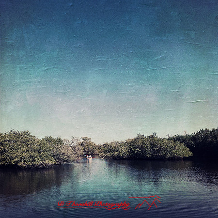 florida-2014-iphone-images-029
