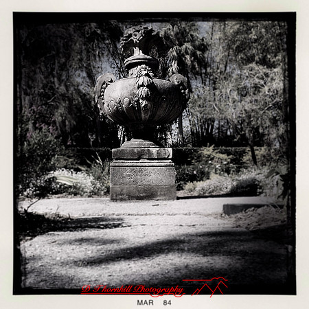 florida-2014-iphone-images-044