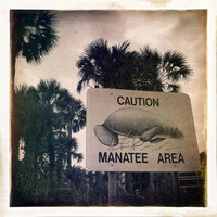 florida-2014-iphone-images-009