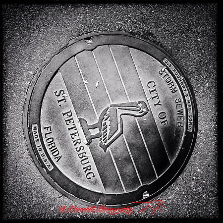 florida-2014-iphone-images-060