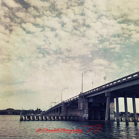 florida-2014-iphone-images-054