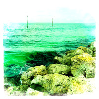 florida-2014-iphone-images-010