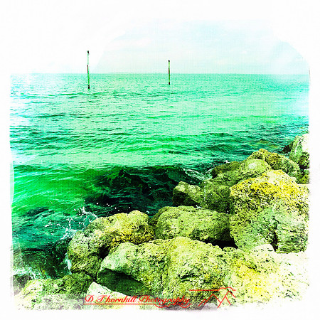 florida-2014-iphone-images-010