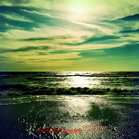 florida-march-2015-iphone-random-012